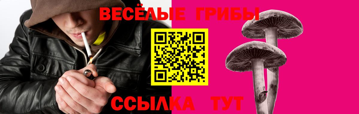 Галлюциногенные грибы Psilocybe  Вход с VPN  Нижневартовск  Галлюциногенные грибы Psilocybine cubensis 